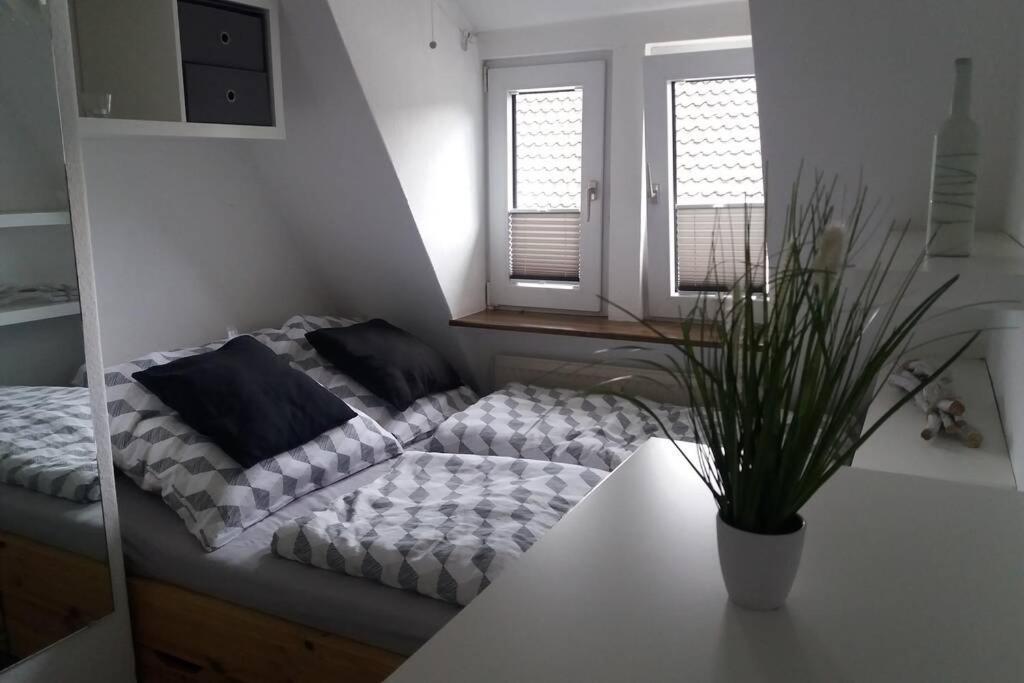 Helle 2-Zimmerwohnung Am Stadtrand Hildesheim Eksteriør bilde
